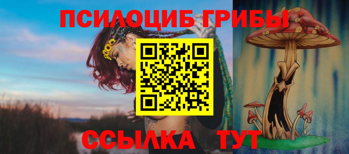 Галлюциногенные грибы мицелий  Вход с VPN  Железногорск 