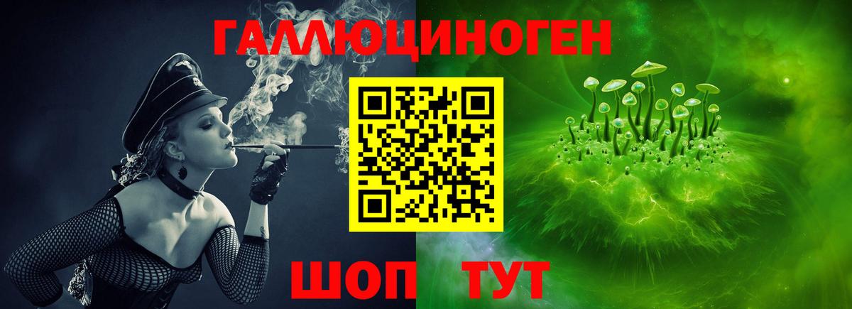 Псилоцибиновые грибы Cubensis Железногорск